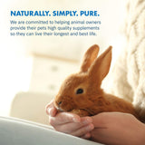 Equa Holistics HealthyGut Probiotics for Rabbits Dietary Supplement, All-Natural Digestive System Formula (120 Servings)