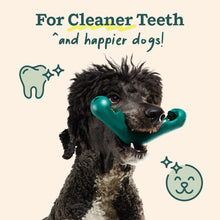 Load image into Gallery viewer, WOOF - Bite n' Brush Refills for The Dog Toothbrush Toy - Scrub Plaque and Tartar from Your Dog's Teeth and Mouth - Dog Dental Chew Toy Treats - Approximately 16 Refills - 2 Pack
