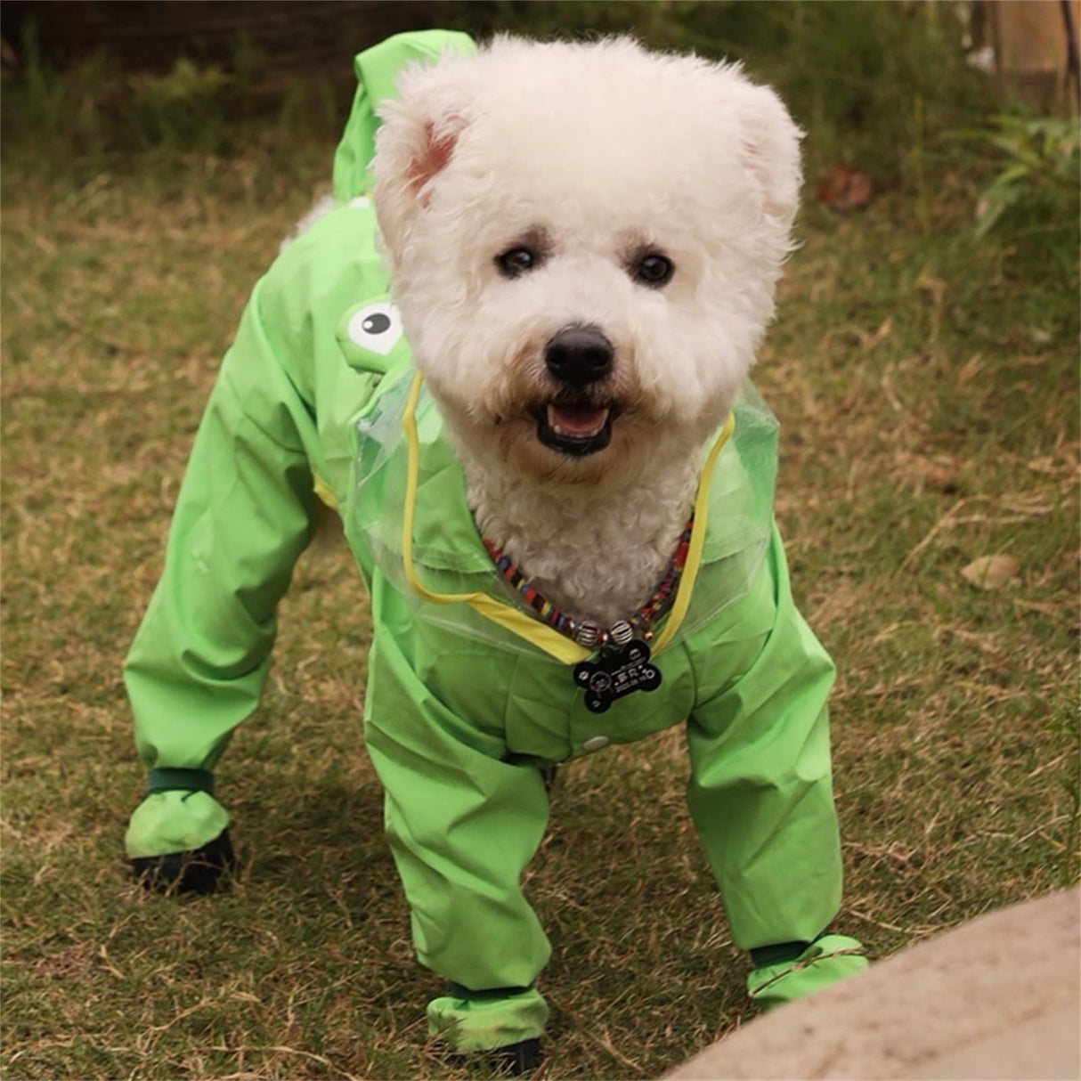 ETOSEM Dog Raincoat with Boots,Waterproof Dog Raincoats with Hood for Small Medium Large Dogs,Raincoat with Leash Ring (Green Frog, Large)