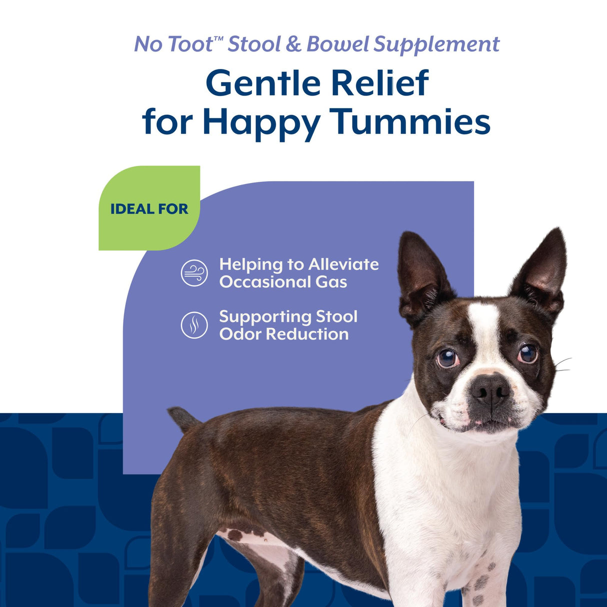 NaturVet – No Toot Gas Aid For Dogs Plus Fennel – 70 Soft Chews | Alleviates Intestinal Gas | Helps Reduce Stool & Urine Odors | 30 Day Supply