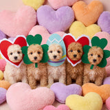 Huhumy Valentine's Day St Patrick's Day Easter Dog Hat Set for Dogs Holiday Party Felt Headgear Accessories Costume Pets Party Collection Outfit Decorations(Small)