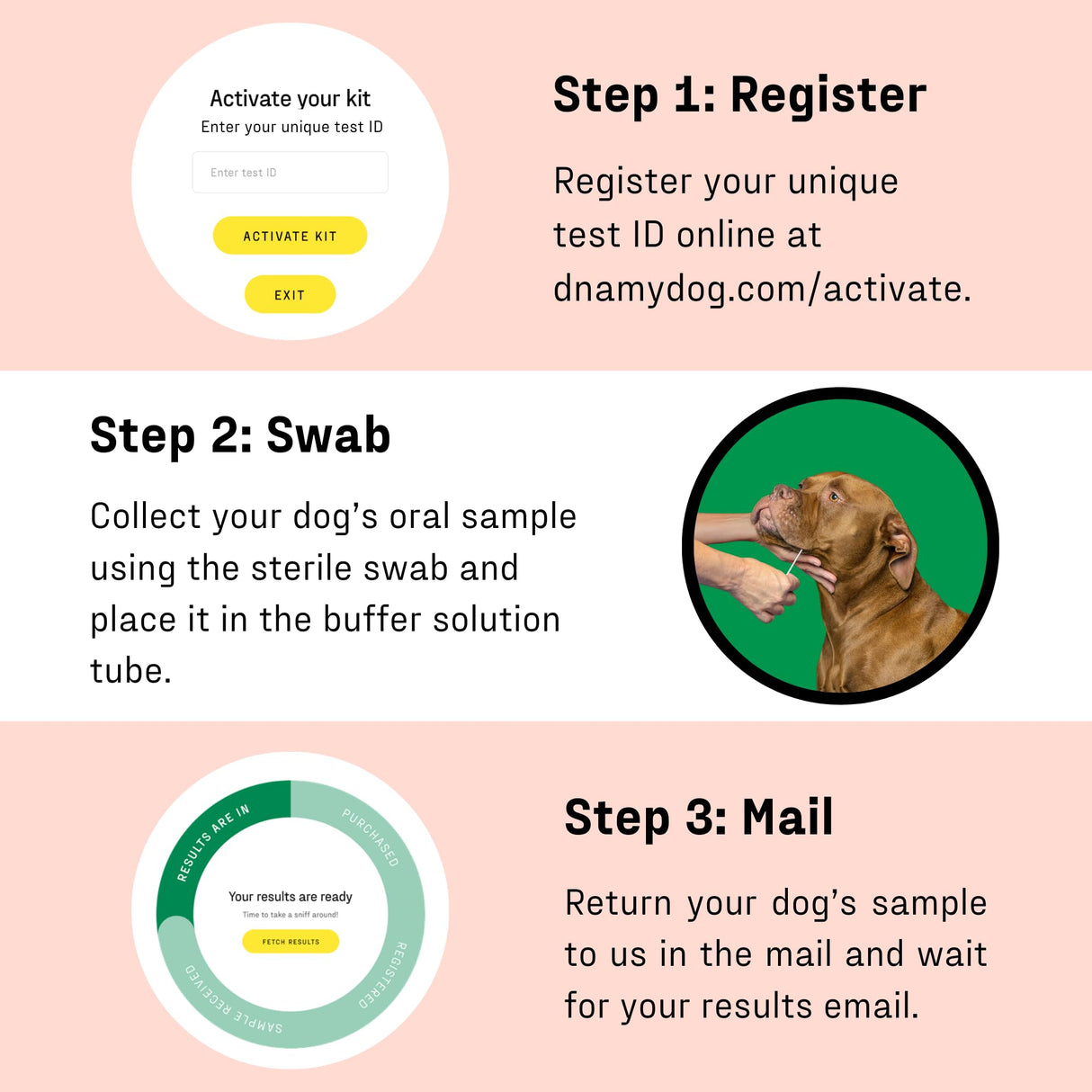 DNA MY DOG Vet-Recommended and Most Accurate Allergy Test for Itchy, Sensitive Dogs | Cheek Swab – The Gold Standard of Testing | Tests for All Common Food & Environmental Allergens | Custom Report