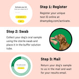 DNA MY DOG Vet-Recommended and Most Accurate Allergy Test for Itchy, Sensitive Dogs | Cheek Swab – The Gold Standard of Testing | Tests for All Common Food & Environmental Allergens | Custom Report