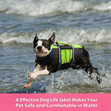 Queenmore Dog Life Jacket Lifesaver Preserver High Buoyancy with Emergency Grab Handle for Small & Medium Dogs Green, Large