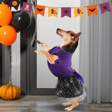 Dog Dress with Ruffles (XS (Back: 9.8",Chest: 12"-14"), Hocus Pocus)