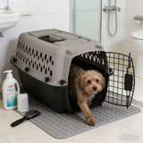 Hard-Sided Pet Travel Carrier (19" L×12.3" W×10.8" H) - Black & Grey, Metal Door, Durable Kennel for Dogs up to 10 lbs, Portable for Trips & Home Use
