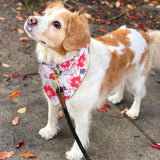72 Packs Dog Bandanas Bulk Buffalo Plaid Cat Bandana Summer Scarf Triangle Fruit Drool Bibs Washable Adjustable Kerchief Dog Cat Bandana for Beach Small Medium Pet Supplies(Flower)