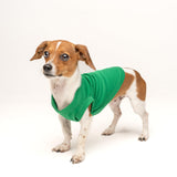 Happy Camping Dog Tee Shirt | Sleeveless Breeds | Summer | Outdoor Adventure | Travel | (Green, 4X-Large 278)