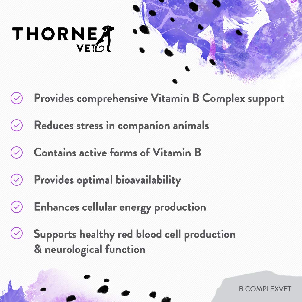 ThorneVET B ComplexVET – Vitamin B Complex Support for Dogs & Cats - 60 Soft Chews