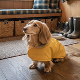 Hudson Hound, Dachshund Raincoat, Sausage Dog Rain Jacket, Long Dog Coat, Weiner Dog Raincoat, Doxie Rain Jacket (Medium)