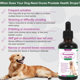 Prostate Health Drops for Dogs, Relieves Enlarged Prostate, Supports Urinary Tract Health Bladder Normal Frequency, Enhances Overall Immune, Herbal Liquid Supplement for Senior and Intact Male Dogs