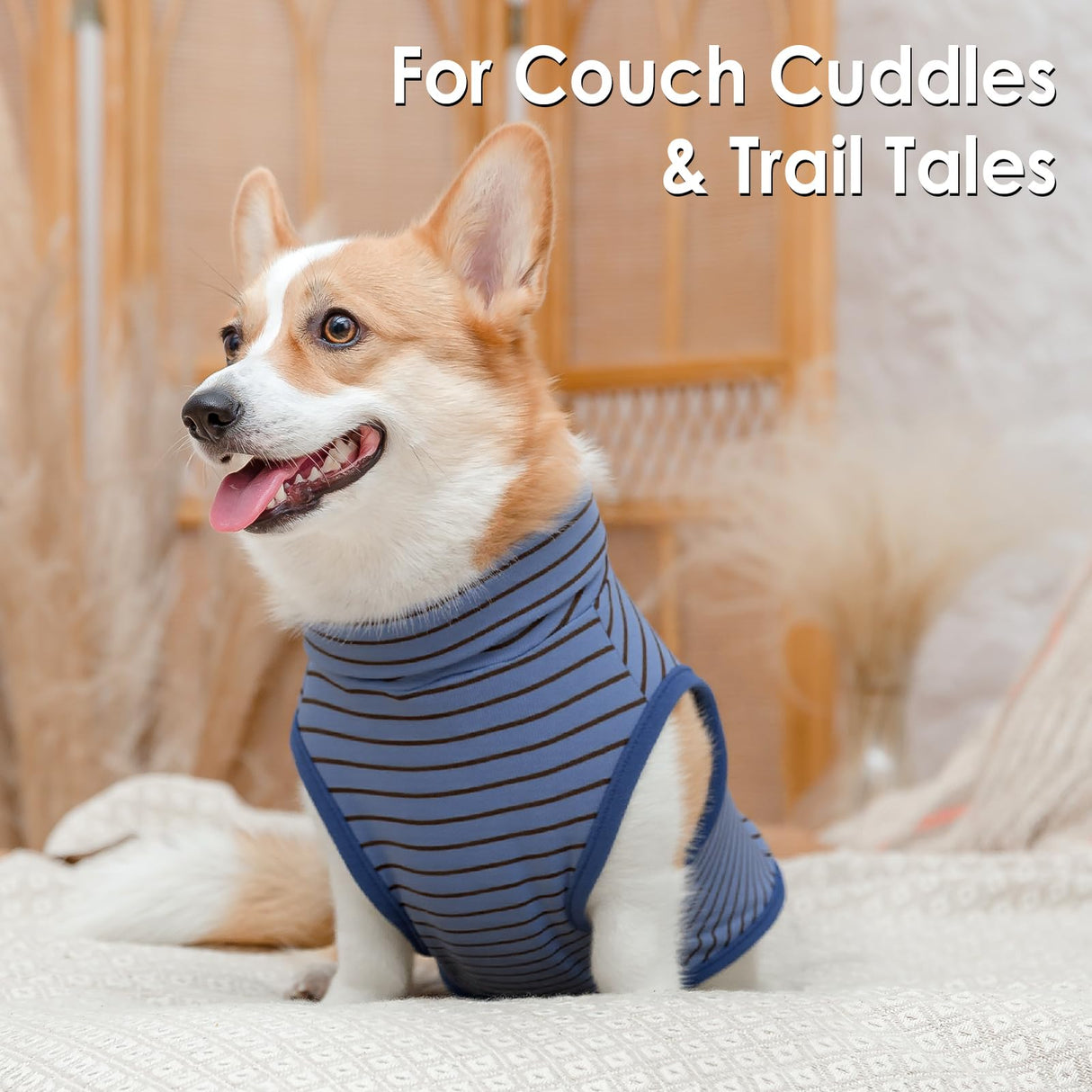 BAOBICUTE 2 Pack Dog Sweater Clothes Soft Velvet Fabric Coat Dog Sweatshirt Sweaters for Small Medium Large Dogs Pullover Turtleneck Pet Puppy Clothes Cold Weather Warm Puppy Sweater