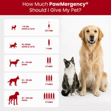 Load image into Gallery viewer, PawMergency – Activated Charcoal First Aid Kit Emergency Rescue for Dogs, Cats, Puppy &amp; Pet Poison Kit, Camping Survival Remedy Essential,Oral Anti Diarrhea Digestive Paste Ready Absorb Toxins (30mL)
