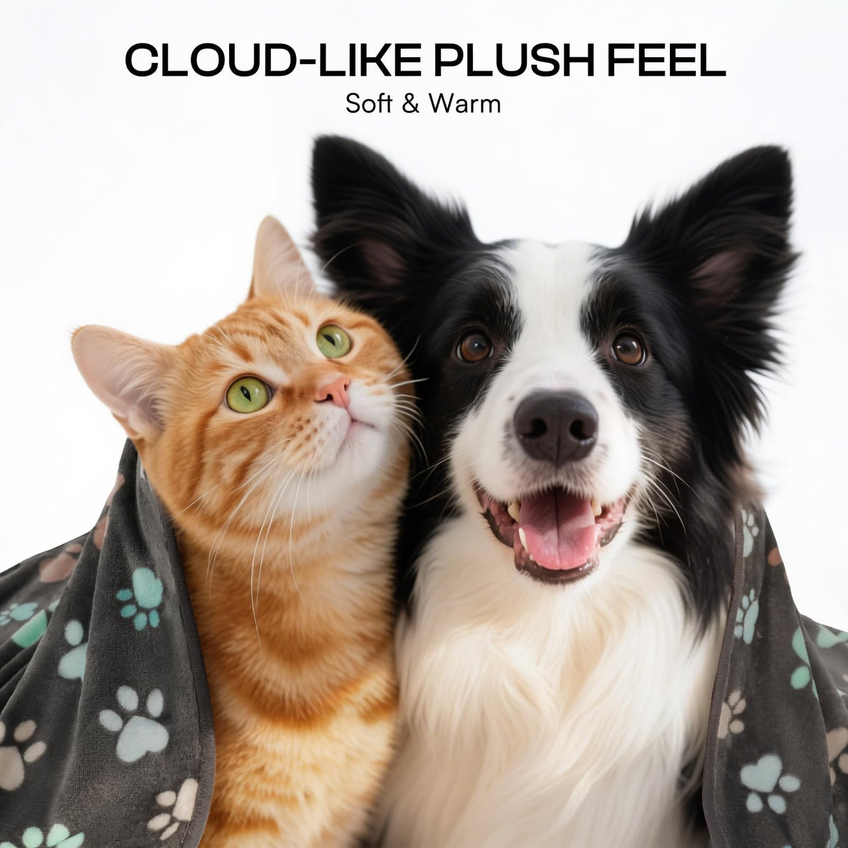 Luciphia 1 Pack 6 Dog Blankets Cat Soft Fluffy Fleece Pet Blanket Warm Cute Print Design Puppy Kitten Doggy Paw Medium(30"x20")