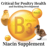 Brewer's Yeast + Probiotics + Niacin + Vitamins Supplement for Ducks, Chickens and Poultry. (Molt Recovery, Severe Stress, Egg Quality and Development) 10-Ounce Resealable Foil-Lined Pouch