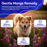 HA4E - Mange Relief for Dogs - Treatment for Itchiness, Scabs, & Hair Loss Caused by Mites - All-Natural, Homeopathic, Non-GMO, Organic, Gluten, Preservative & Chemical Free - 300 Tablets