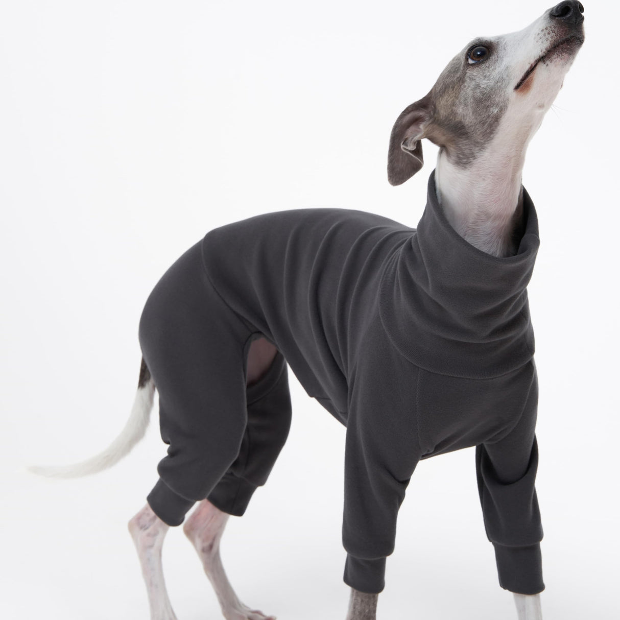 ESCCBOO Cozy Cotton Fluffy Underwear Onesie for Italian Greyhounds and Whippets, Super Soft Warm Pajamas and Jumpsuit(Large, Grey)