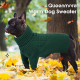 Queenmore XS Dog Sweater, Dog Sweaters for Small Dogs Girl or Boy, Dog Christmas Sweater XSmall, Winter Puppy Doggie Sweatshirt Knitwear, Pet Chunky Warm Coat for Medium Large Size Dogs, Green XS
