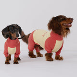 Dachshund Dog Cooling Summer Shirt, UPF50+ Four-Legged Sun Protection Clothes, Quick-Dry Summer Shirt for Dachshund and mini Dachshund (Small)