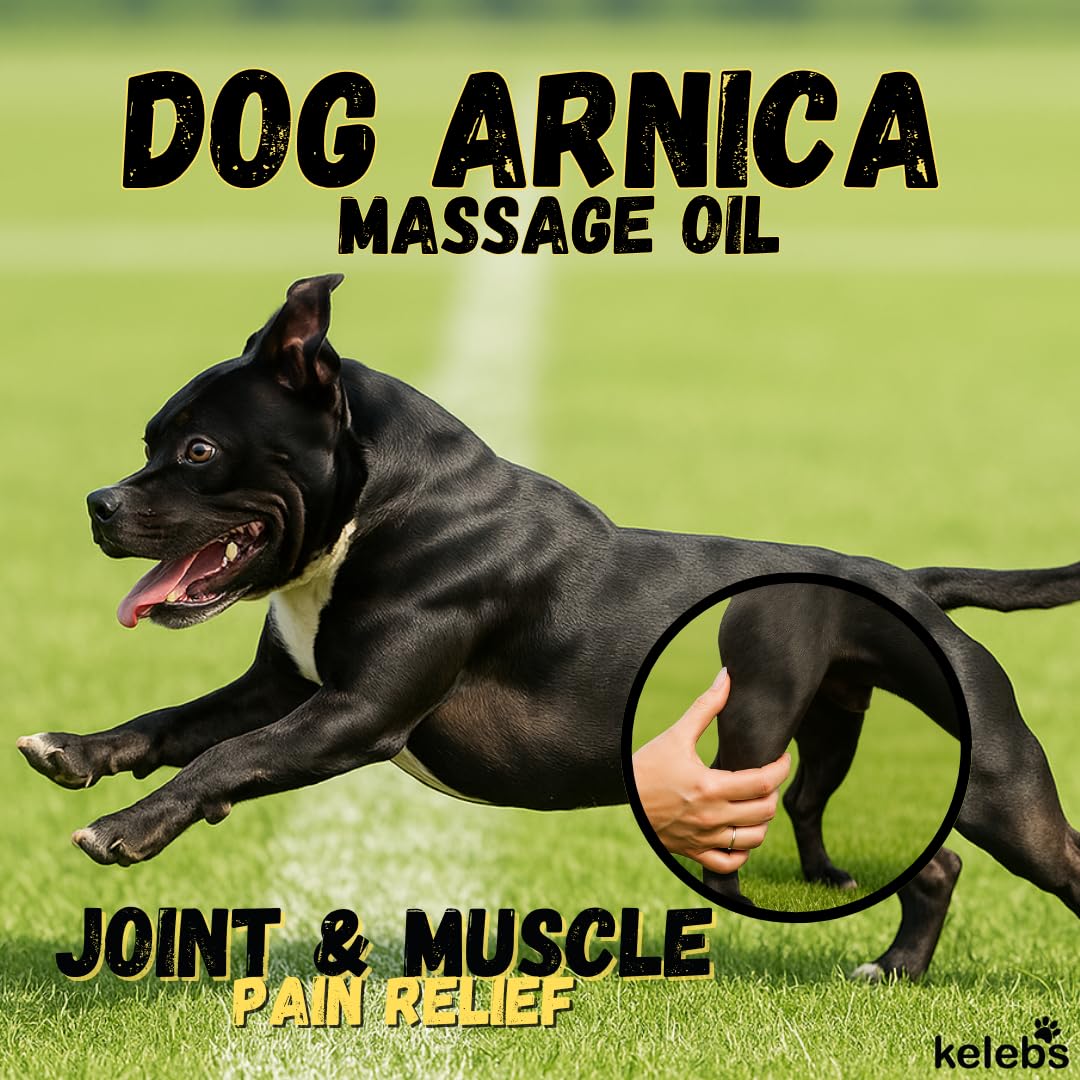 KELEBS Dog Arnica Massage Oil | Pain Relief for Muscles, Arthritis, HIPS, and Joints | for Active & Senior Dogs | Organic Arnica-Infused Oil Blend – Only 5 Ingredients | Glass Bottle