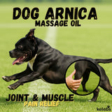 KELEBS Dog Arnica Massage Oil | Pain Relief for Muscles, Arthritis, HIPS, and Joints | for Active & Senior Dogs | Organic Arnica-Infused Oil Blend – Only 5 Ingredients | Glass Bottle