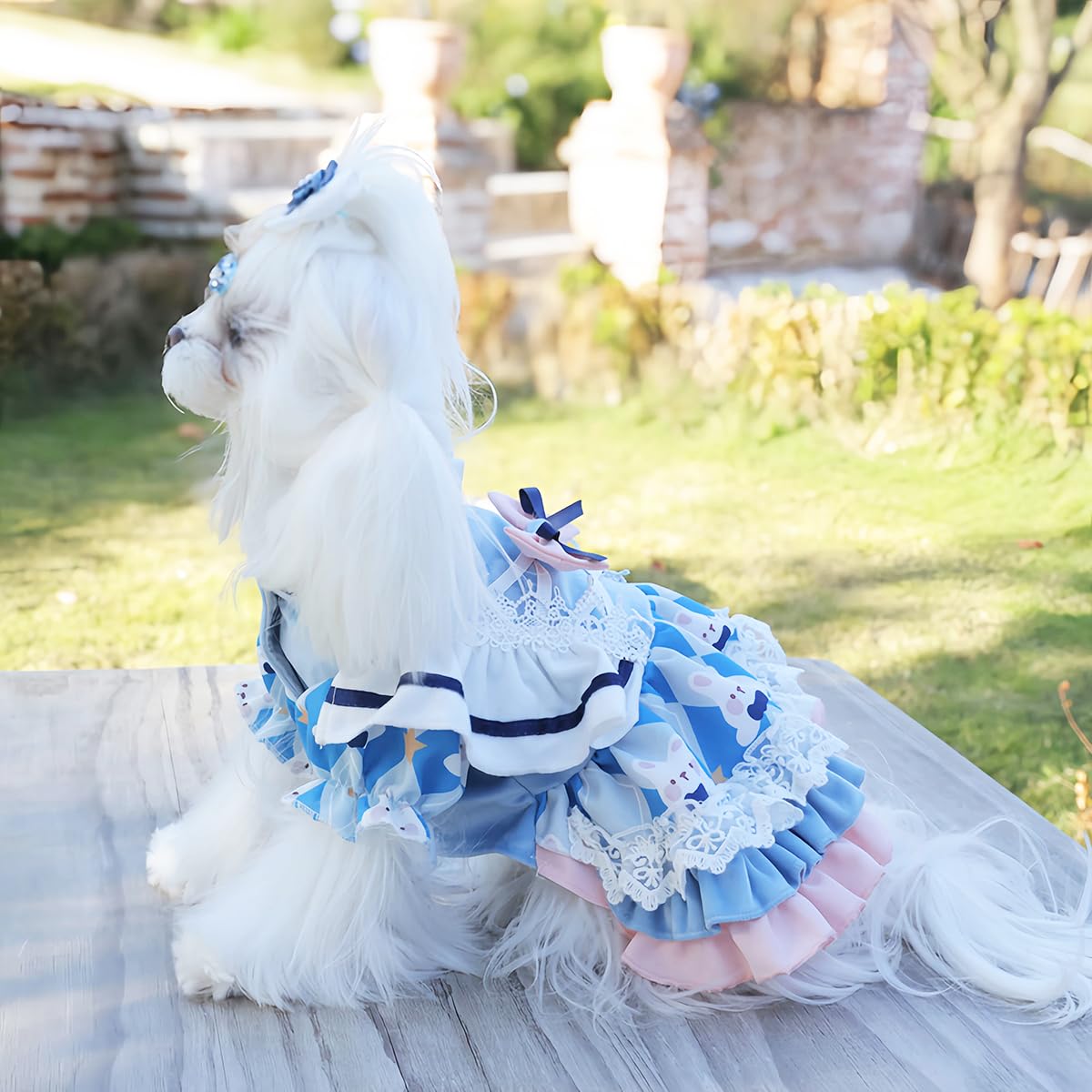 MengYu Small Dog Dress Cat Princess Costumes, Pet Birthday Clothes,Lolita Costume Dress for Puppy and Kitten，Velvet Pet Bodysuit Clothes for Daily，Anniversary，Indoor，Outdoor