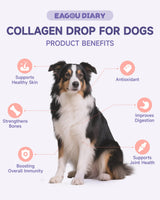 Collagen for Dogs - Dog Collagen Drops with Glucosamine, MSM, Biotin, VitaminC & E, Coconut Oil - Hip & Joint Supplement for Dog, Skin Coat Health, Gut & Immune Health, 60ml Collagen Drops for Dogs