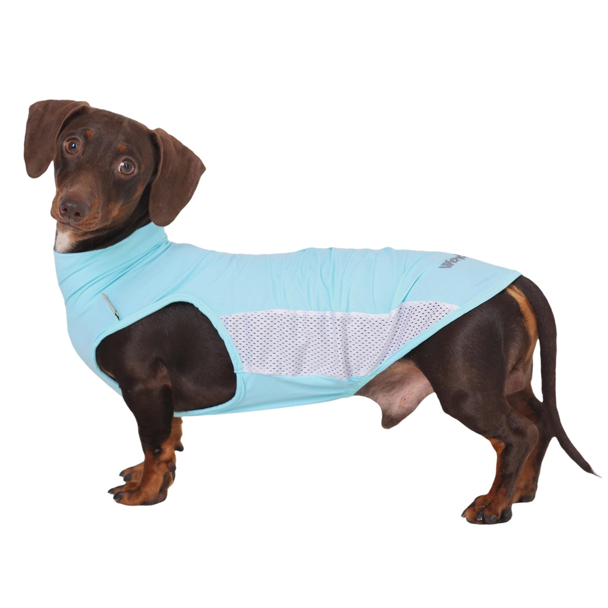 WienieDay Dachshund Dog Cooling Vest, Breathable Summer Dog Cooling & Quick-Dry Shirt for Outdoor Activities,Mini Dachshund Lightweight Clothes, Vest Small Dogs (Blue, L(16-22 lbs))