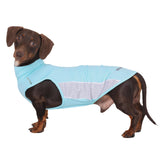WienieDay Dachshund Dog Cooling Vest, Breathable Summer Dog Cooling & Quick-Dry Shirt for Outdoor Activities,Mini Dachshund Lightweight Clothes, Vest Small Dogs (Blue, L(16-22 lbs))