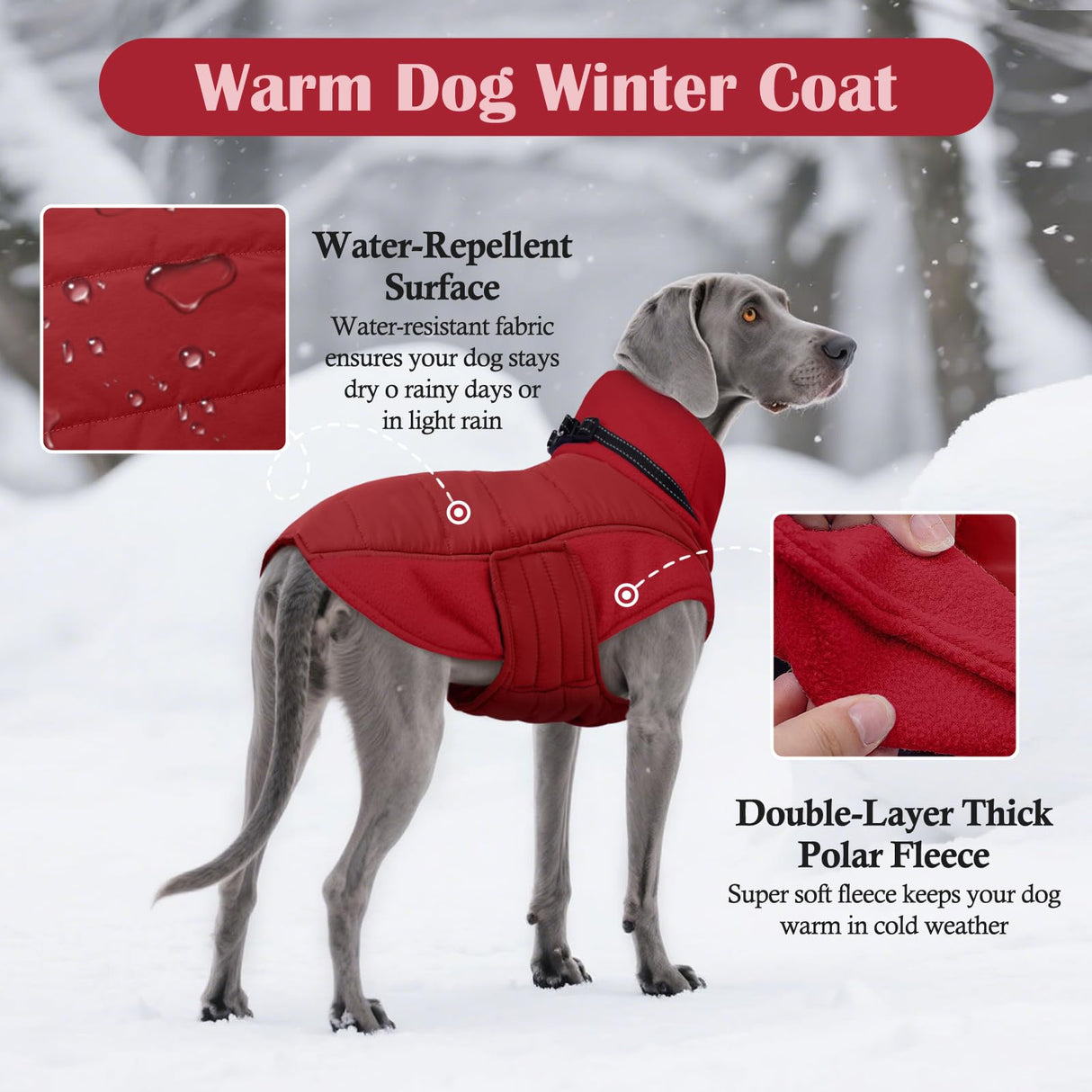 DENTRUN Dog Coat with Collar Built in - Fleece-Lined Windproof Dog Jacket, Adjustable Belly Straps & Reflective Strips, No-Sleeve Design for Beagle, Dachshund, Daily Walks, Red, M