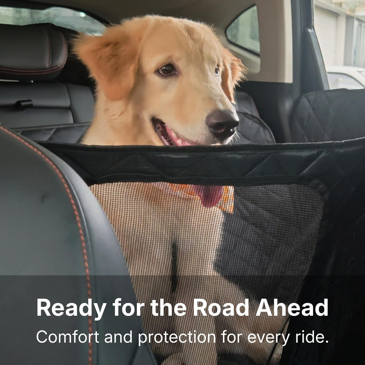 pawander Dog Car Seat Cover for Back Seat with Door Protection, Waterproof Dog Seat Hammock, Soft-Padded Pet Car Seat Cover for SUVs & Sedans (Black)