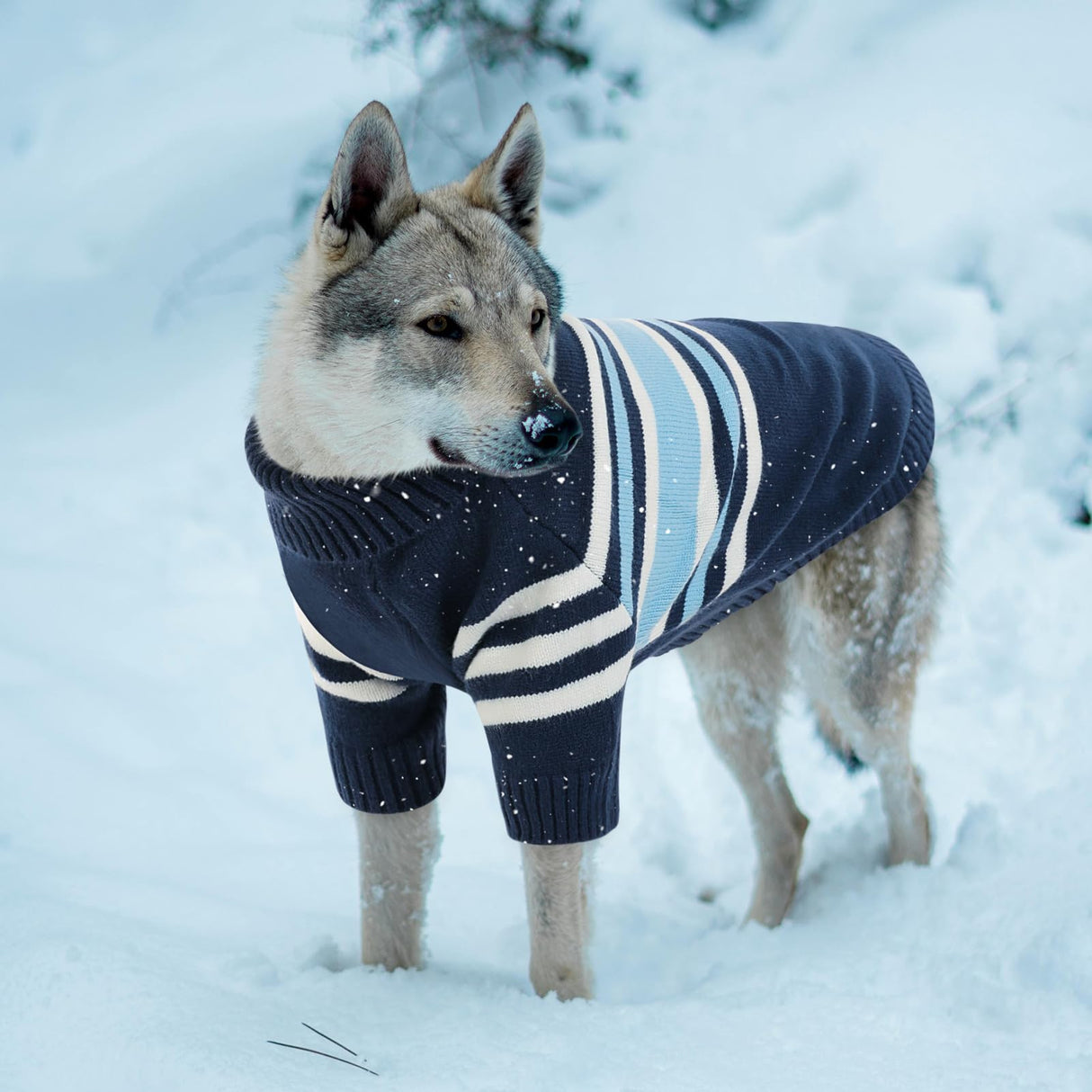Queenmore Dog Striped Knitted Sweater, Turtleneck Pullover Pet Coat, Dog Winter Clothes with Leash Hole for Small Medium &Large Dogs(Navy Blue,S)