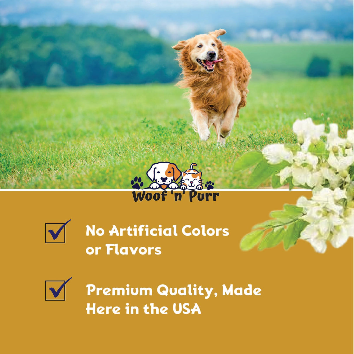 Natural Mange Treatment Dogs - Mange in Dogs Treatment - Dog Mange Treatment - Mange Treatment - Mange Treatment for Dogs - Mange Relief for Dogs - Dog Mange - Mange in Dogs - 1 fl oz - Bacon Flavor
