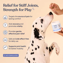 Load image into Gallery viewer, Pawfy Advanced Pain Management - Essential Vitamins &amp; Supplements with Omega 3 |Joint Supplement for Dogs - Supports Hip &amp; Joint Health for Small, Medium, Large Breeds | 30 Fast-Acting Chews
