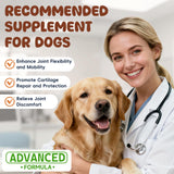 Glucosamine for Dogs Hip and Joint Supplement 200 PCS Glucosamine Chondroitin MSM for Dogs Hip & Joint Pain Relief Mobility Support for All Small Medium Large Breeds Chicken Flavor
