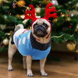 DOGGYZSTYLE Pet Christmas Dog Sweaters Cute Animal Snowman Printed Puppy Xmas Costumes Winter Warm Turtleneck Jumpers Puppy Knitted Clothes Cat Outfits (XXL, Blue Snowman)