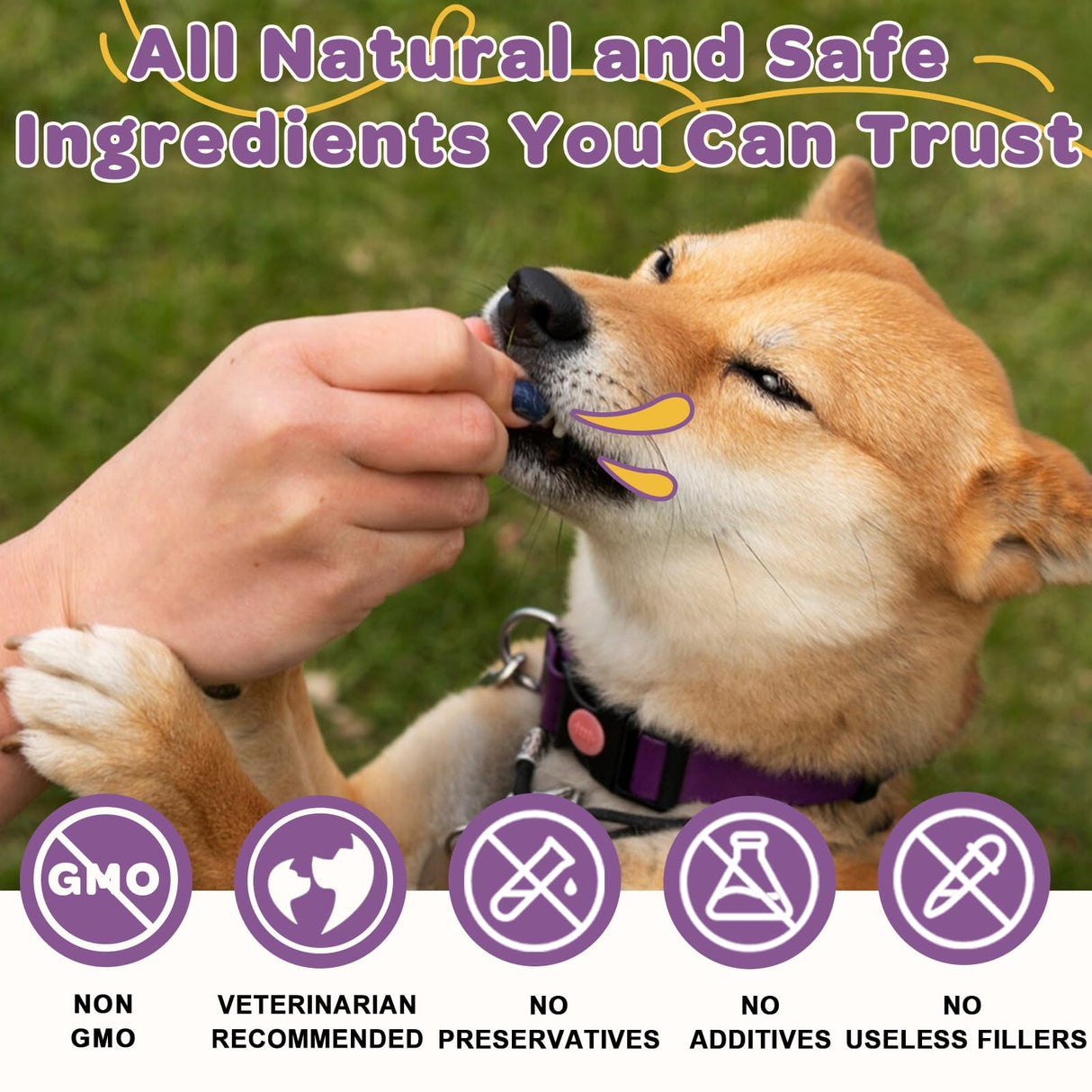 Probiotics for Dogs – 6 Billion CFUs & 10 Strains with Prebiotics, Omega-3, Digestive Enzymes & Multivitamins, Dog Probiotics for Digestive Health, Immune Support, Skin & Coat, 120 Duck Flavor Chews