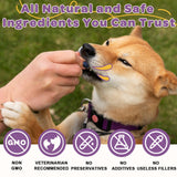 Probiotics for Dogs – 6 Billion CFUs & 10 Strains with Prebiotics, Omega-3, Digestive Enzymes & Multivitamins, Dog Probiotics for Digestive Health, Immune Support, Skin & Coat, 120 Duck Flavor Chews