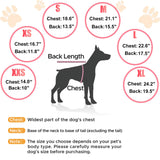 Dog Winter Coat with Hood, Fleece Lined Waterproof Dog Jacket,Warm Snowsuit for Small Medium Dog