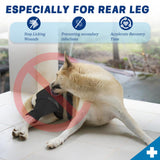 Joypig Dog Rear Leg Sleeve to Stop Licking: Soft Recovery Wrap for Hind/Back Leg Wounds, TPLO ACL Surgery, Surgical Sleeve for Small Medium Large Dogs, Cone Alternative (Left-XS,Glossy Black)
