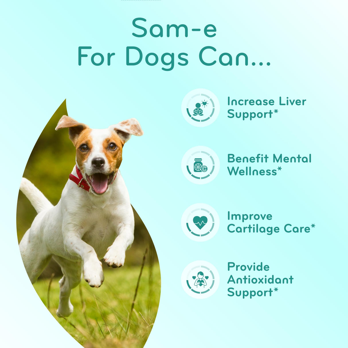 Liver Support for Dogs with SAM-e - Chewable SAM-e for Dogs Bone Mood Brain and Liver Support Supplement with Easy Absorption 225mg S-Adenosyl-L-Methionine - Made in a cGMP US Lab (Single)