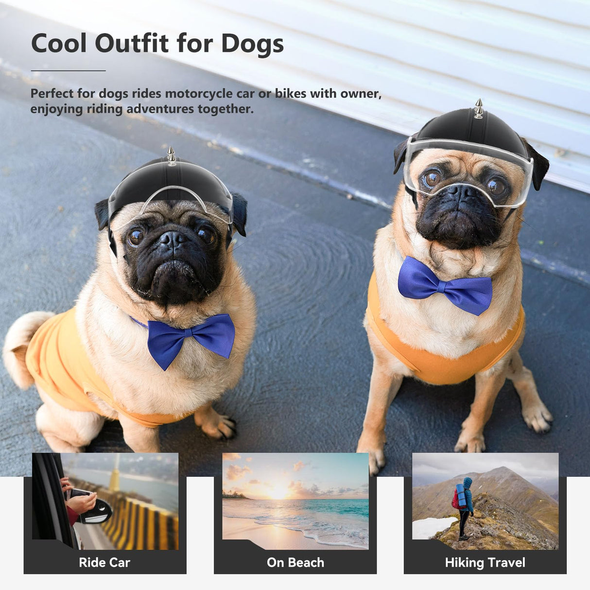 Dog Helmet for Small Breed Cool Pet Motorcycle Helmet with Drop-Down Clear Visor (with Rivets)