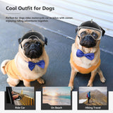 Dog Helmet for Small Breed Cool Pet Motorcycle Helmet with Drop-Down Clear Visor (with Rivets)