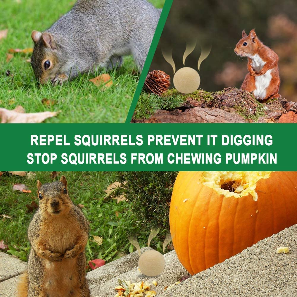SUAVEC Squirrel Repellent Outdoor, Chipmunk Repellent for Car, Peppermint Squirrel Deterrent for Garden, Squirrel Repellents for Attic, Repellant Squirrels Indoor, Squirrels Repellant for Plants-8P