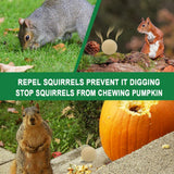 SUAVEC Squirrel Repellent Outdoor, Chipmunk Repellent for Car, Peppermint Squirrel Deterrent for Garden, Squirrel Repellents for Attic, Repellant Squirrels Indoor, Squirrels Repellant for Plants-8P