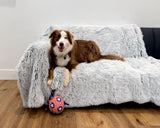 PJYuCien Dog Blankets for Medium Large Dogs Washable - Fluffy Fuzzy Cat Blanket for Couch, Puppy Throw for Furniture with Polyester Fleece, Super Soft Plush for Pet Kitten Doggy, Grey, 50" x 60"