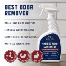 Load image into Gallery viewer, Rocco &amp; Roxie Supply Co. Stain &amp; Strong Odor Eliminator, Enzyme Cleaner, Pet Odor Eliminator for Home - Carpet Stain Remover for Cats &amp; Dog Pee - Urine Destroyer - Carpet Cleaner Spray Clear, 32 Fl Oz
