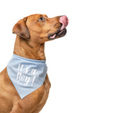 It's A Boy & It's A Girl Dog Bandana Set | Gender Reveal | Baby Announcement Photoshoot Prop | Baby Pink & Baby Blue | Pack of 2 | One Size (57) GB