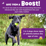 Dinovite BeneBoost Hip & Joint Liquid Topper for Dogs, Dog Joint Supplement with Glucosamine, Chondroitin, MSM & Hyaluronic Acid, Dog Mobility Support, Bacon Flavor, 6 fl oz