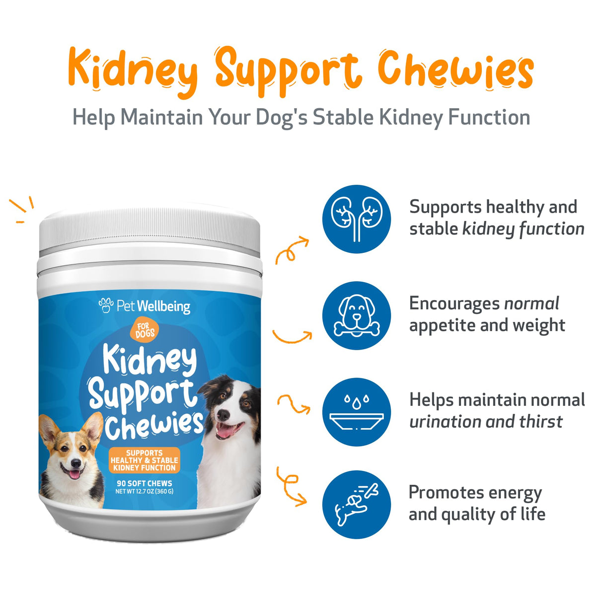 Pet Wellbeing Kidney Support Chewies for Dogs - Vet-Formulated - Supports Healthy & Stable Kidney (Renal) Function, Normal Fluid Balance & Energy Levels, Rehmannia, Astragalus - 90 Soft Chews